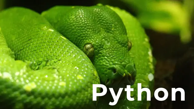 Python